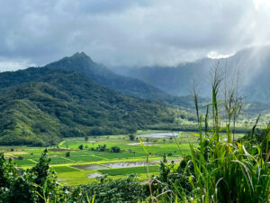 http://Hawaii